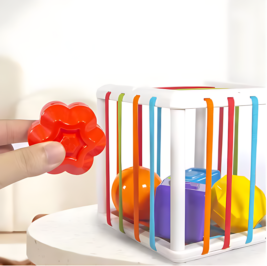 Montessori Rainbow Sensory Toy – Early Learning for Babies